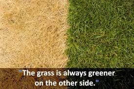 The grass is greener where you water it