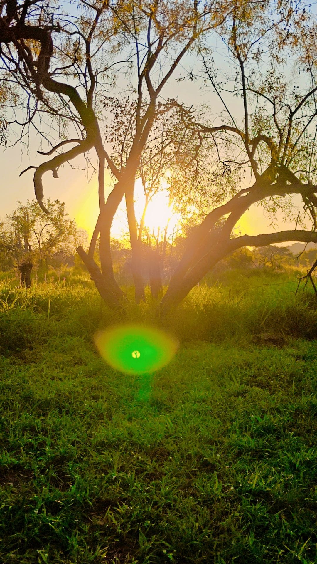 The Fellowship of the Ring - The FCA Journey