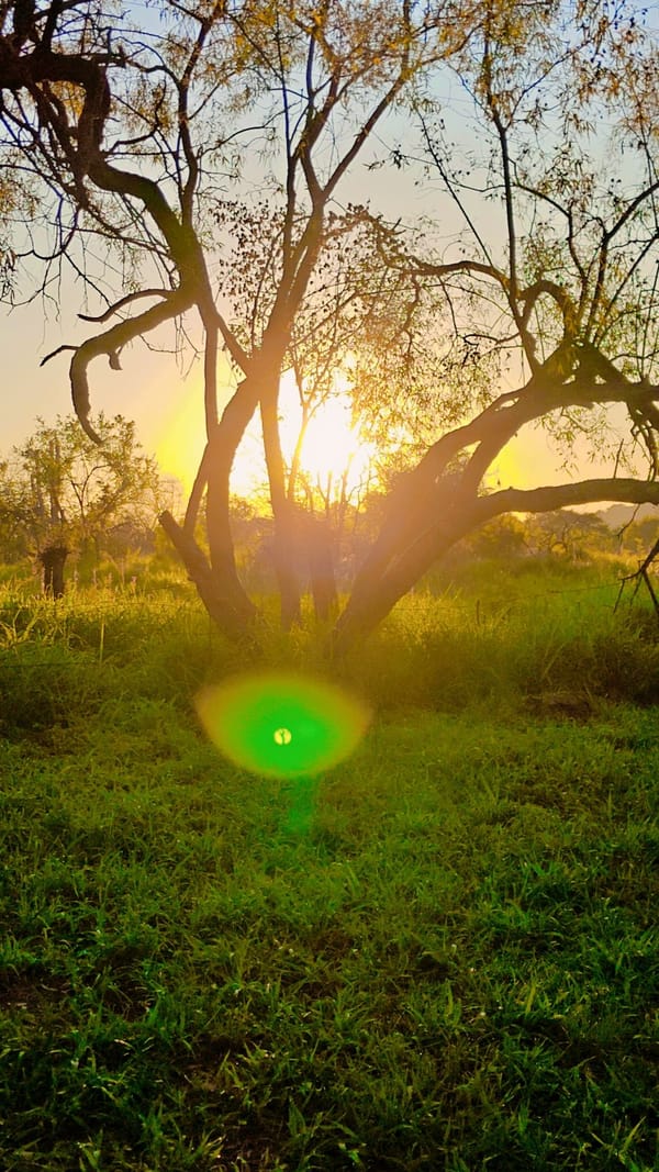 The Fellowship of the Ring - The FCA Journey